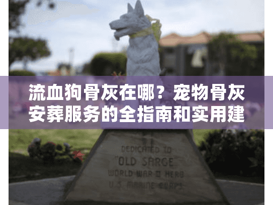 流血狗骨灰在哪？宠物骨灰安葬服务的全指南和实用建议