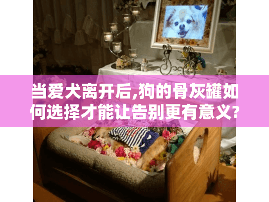 当爱犬离开后,狗的骨灰罐如何选择才能让告别更有意义?
