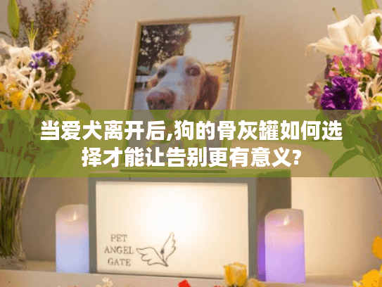 当爱犬离开后,狗的骨灰罐如何选择才能让告别更有意义?