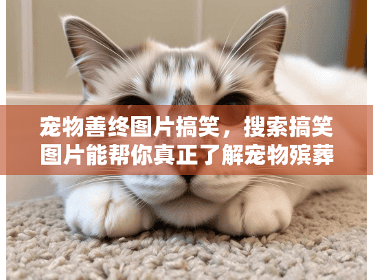 宠物善终图片搞笑，搜索搞笑图片能帮你真正了解宠物殡葬服务吗？