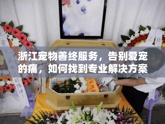 浙江宠物善终服务，告别爱宠的痛，如何找到专业解决方案？