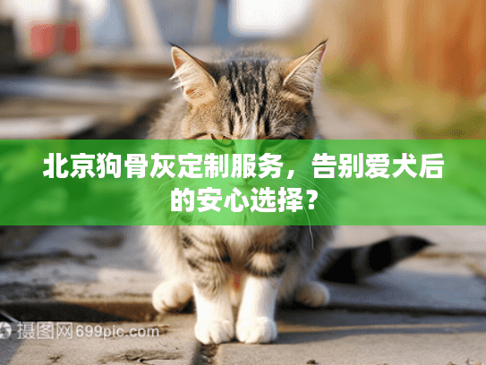 北京狗骨灰定制服务，告别爱犬后的安心选择？