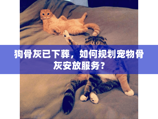 狗骨灰已下葬，如何规划宠物骨灰安放服务？