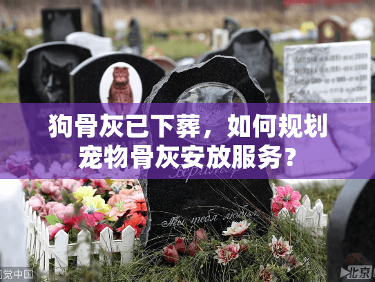 狗骨灰已下葬，如何规划宠物骨灰安放服务？