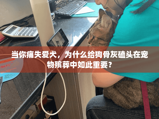 当你痛失爱犬，为什么给狗骨灰磕头在宠物殡葬中如此重要？