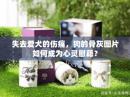 失去爱犬的伤痛，狗的骨灰图片如何成为心灵慰藉？