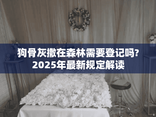 狗骨灰撒在森林需要登记吗?2025年最新规定解读