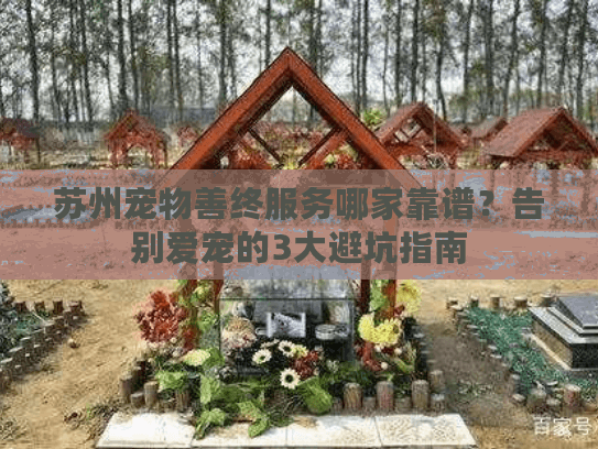 苏州宠物善终服务哪家靠谱？告别爱宠的3大避坑指南