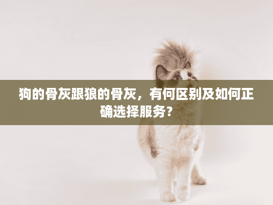 狗的骨灰跟狼的骨灰，有何区别及如何正确选择服务？