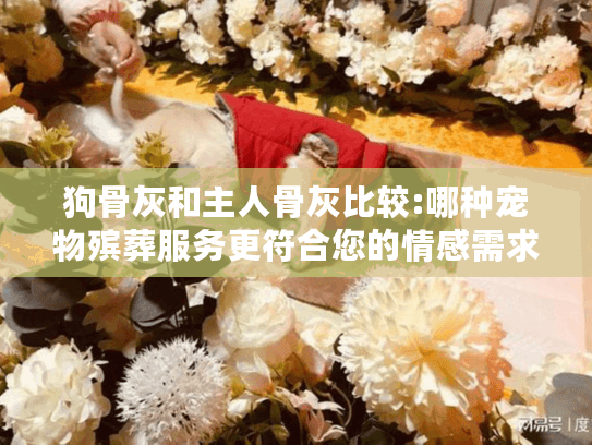 狗骨灰和主人骨灰比较:哪种宠物殡葬服务更符合您的情感需求?