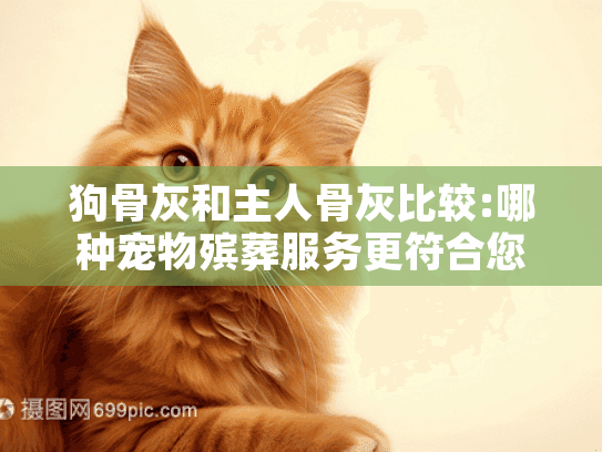 狗骨灰和主人骨灰比较:哪种宠物殡葬服务更符合您的情感需求?