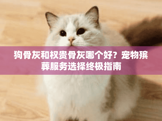 狗骨灰和权贵骨灰哪个好？宠物殡葬服务选择终极指南