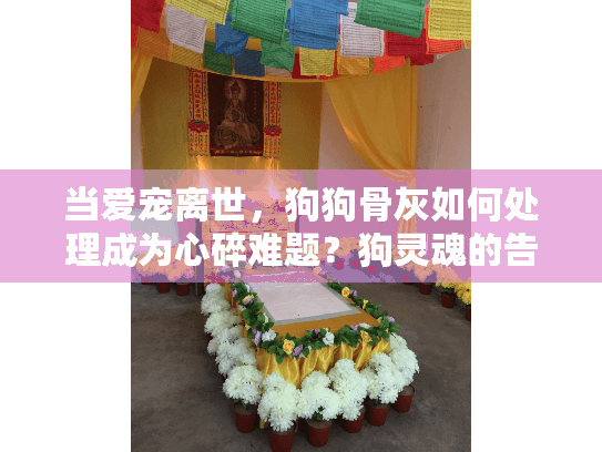 当爱宠离世，狗狗骨灰如何处理成为心碎难题？狗灵魂的告别仪式指南