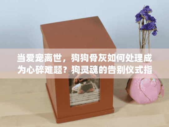 当爱宠离世，狗狗骨灰如何处理成为心碎难题？狗灵魂的告别仪式指南