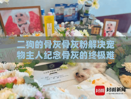 二狗的骨灰骨灰粉解决宠物主人纪念骨灰的终极难题？