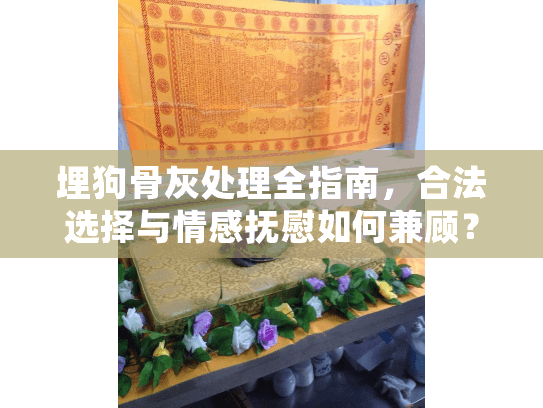埋狗骨灰处理全指南，合法选择与情感抚慰如何兼顾？