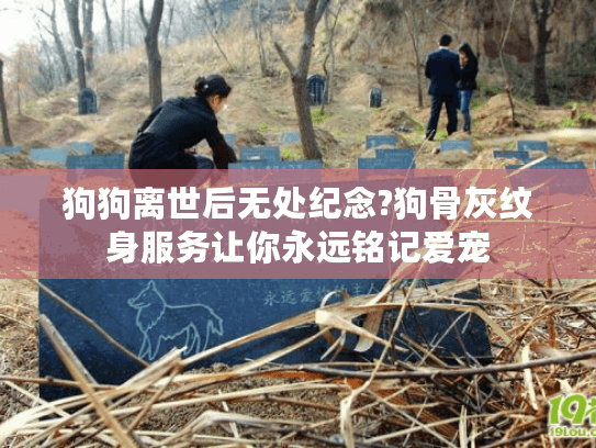 狗狗离世后无处纪念?狗骨灰纹身服务让你永远铭记爱宠