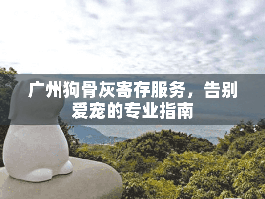 广州狗骨灰寄存服务，告别爱宠的专业指南