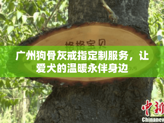 广州狗骨灰戒指定制服务，让爱犬的温暖永伴身边