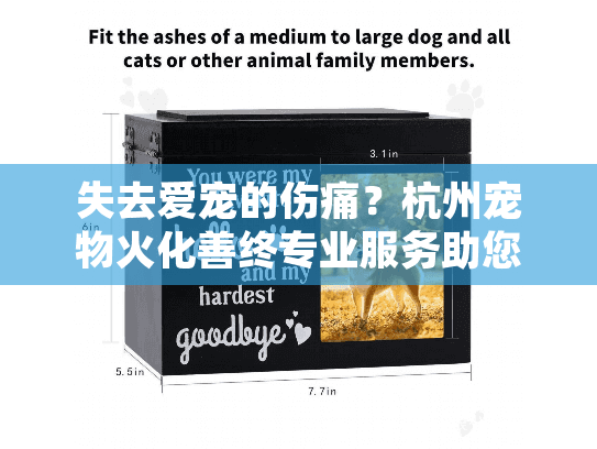 失去爱宠的伤痛？杭州宠物火化善终专业服务助您安心告别