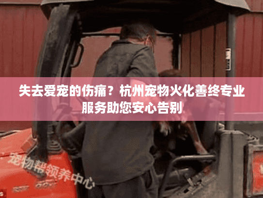 失去爱宠的伤痛？杭州宠物火化善终专业服务助您安心告别