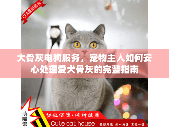 大骨灰电狗服务，宠物主人如何安心处理爱犬骨灰的完整指南