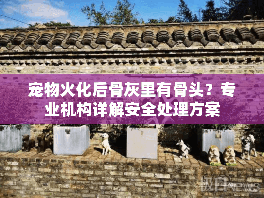 宠物火化后骨灰里有骨头？专业机构详解安全处理方案