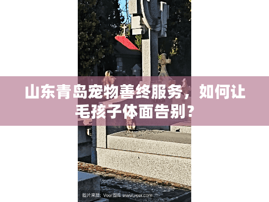 山东青岛宠物善终服务，如何让毛孩子体面告别？