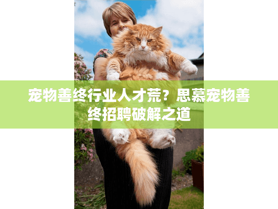 宠物善终行业人才荒？思慕宠物善终招聘破解之道