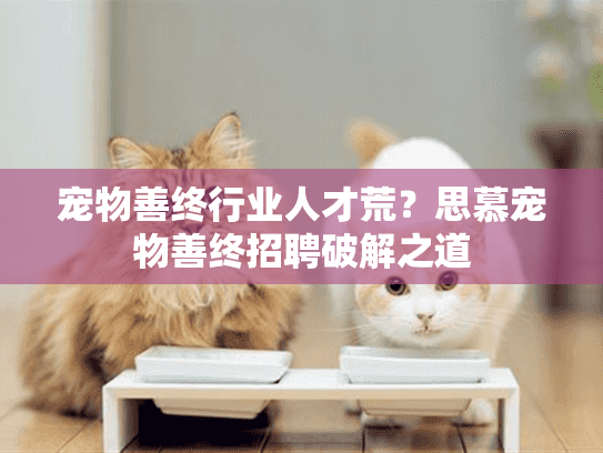 宠物善终行业人才荒?思慕宠物善终招聘破解之道