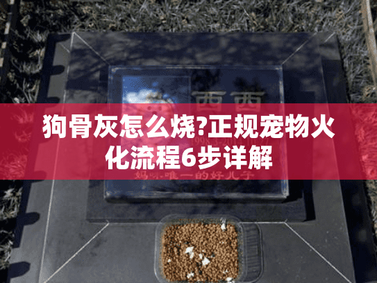 狗骨灰怎么烧?正规宠物火化流程6步详解