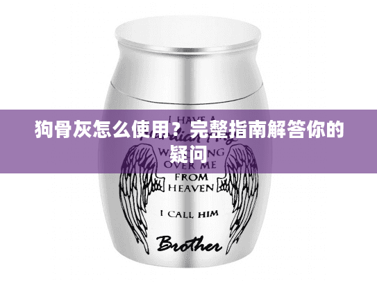 狗骨灰怎么使用？完整指南解答你的疑问
