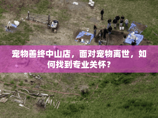 宠物善终中山店，面对宠物离世，如何找到专业关怀？