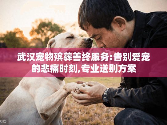武汉宠物殡葬善终服务:告别爱宠的悲痛时刻,专业送别方案