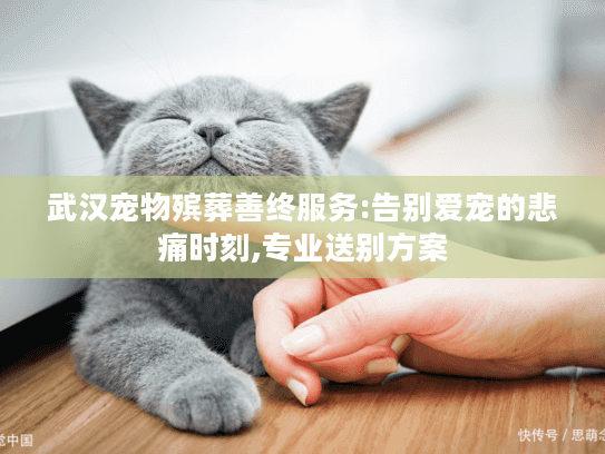 武汉宠物殡葬善终服务:告别爱宠的悲痛时刻,专业送别方案