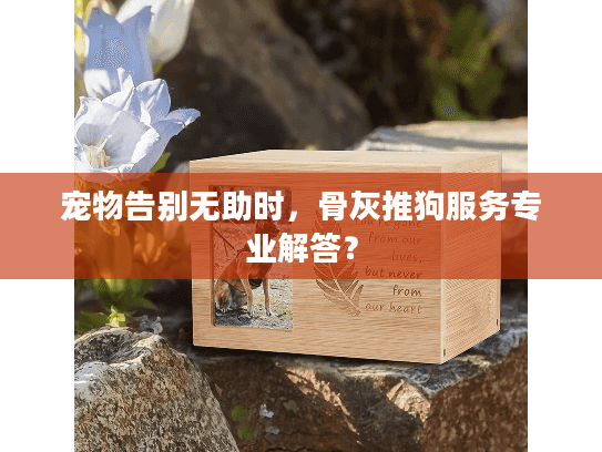 宠物告别无助时，骨灰推狗服务专业解答？