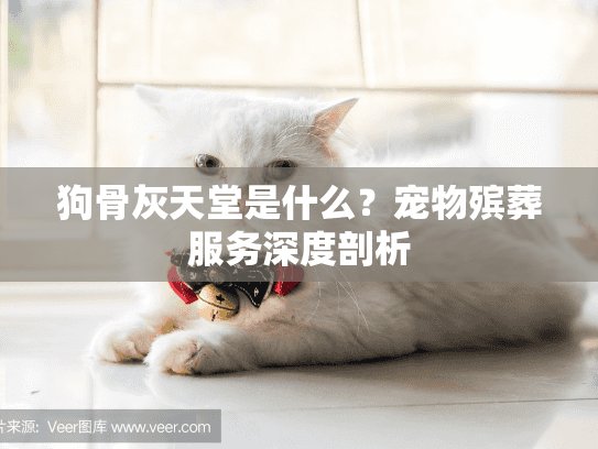 狗骨灰天堂是什么？宠物殡葬服务深度剖析