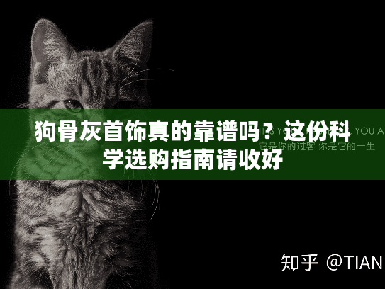 狗骨灰首饰真的靠谱吗？这份科学选购指南请收好