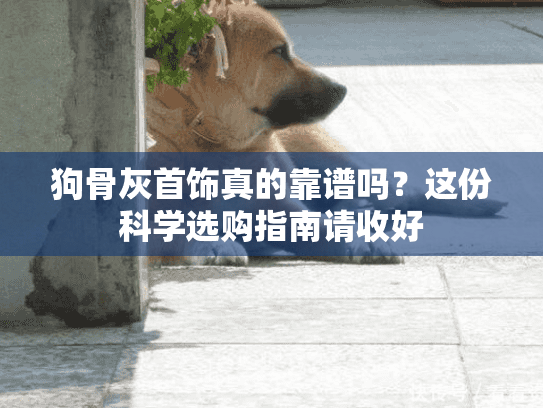 狗骨灰首饰真的靠谱吗？这份科学选购指南请收好