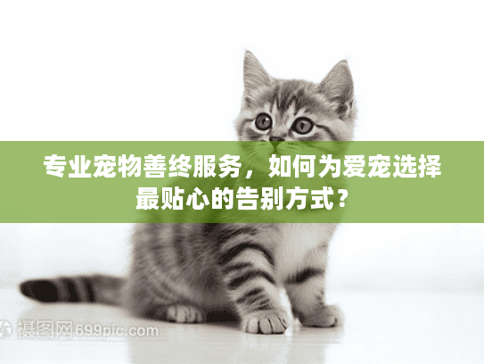 专业宠物善终服务，如何为爱宠选择最贴心的告别方式？