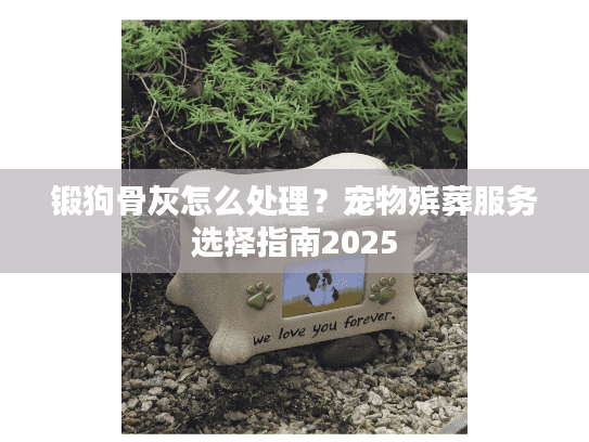 锻狗骨灰怎么处理？宠物殡葬服务选择指南2025