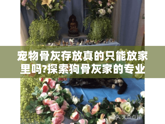 宠物骨灰存放真的只能放家里吗?探索狗骨灰家的专业选择