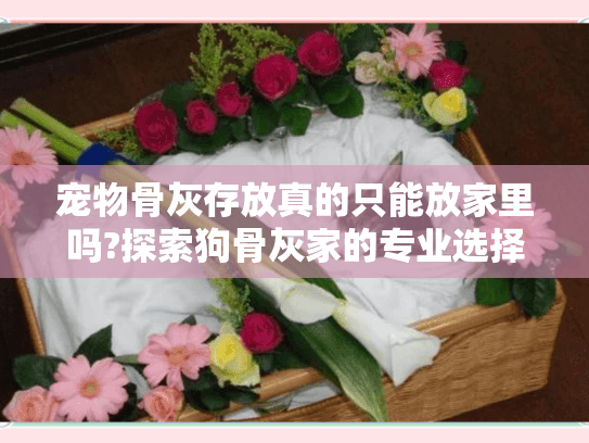 宠物骨灰存放真的只能放家里吗?探索狗骨灰家的专业选择