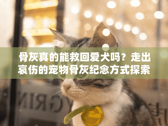 骨灰真的能救回爱犬吗？走出哀伤的宠物骨灰纪念方式探索