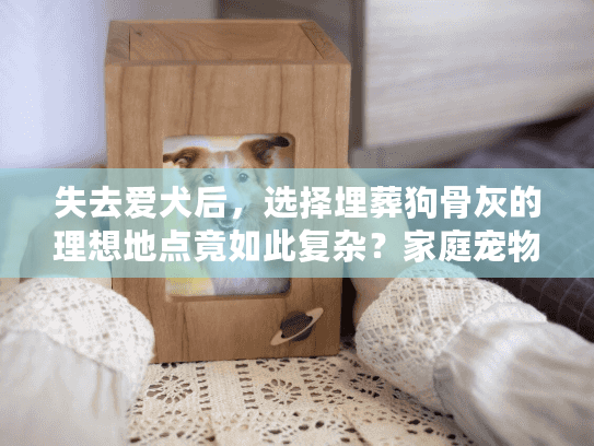 失去爱犬后，选择埋葬狗骨灰的理想地点竟如此复杂？家庭宠物安息指南
