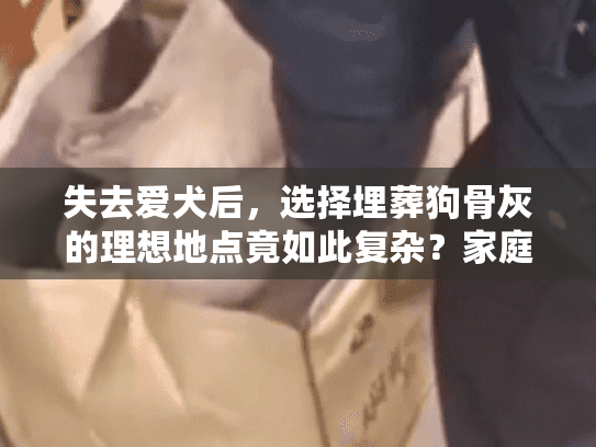 失去爱犬后，选择埋葬狗骨灰的理想地点竟如此复杂？家庭宠物安息指南