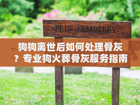 狗狗离世后如何处理骨灰？专业狗火葬骨灰服务指南