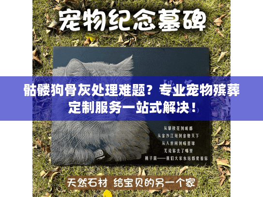 骷髅狗骨灰处理难题？专业宠物殡葬定制服务一站式解决！
