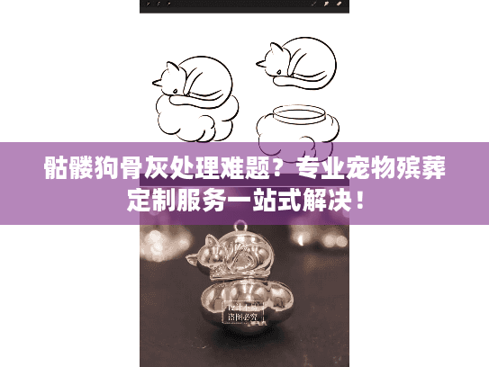 骷髅狗骨灰处理难题？专业宠物殡葬定制服务一站式解决！