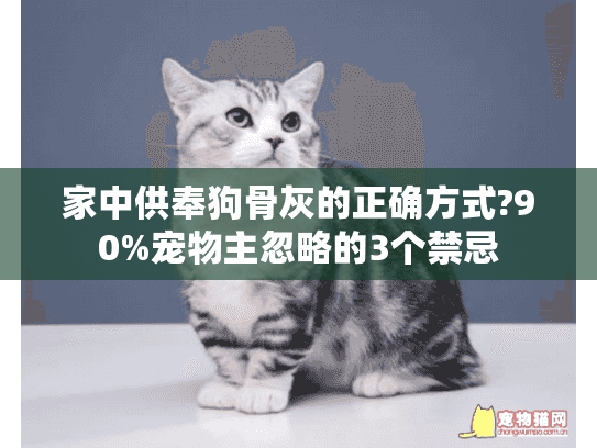 家中供奉狗骨灰的正确方式?90%宠物主忽略的3个禁忌